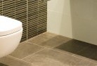 Mintotoilet-repairs-and-replacements-5.jpg; ?>